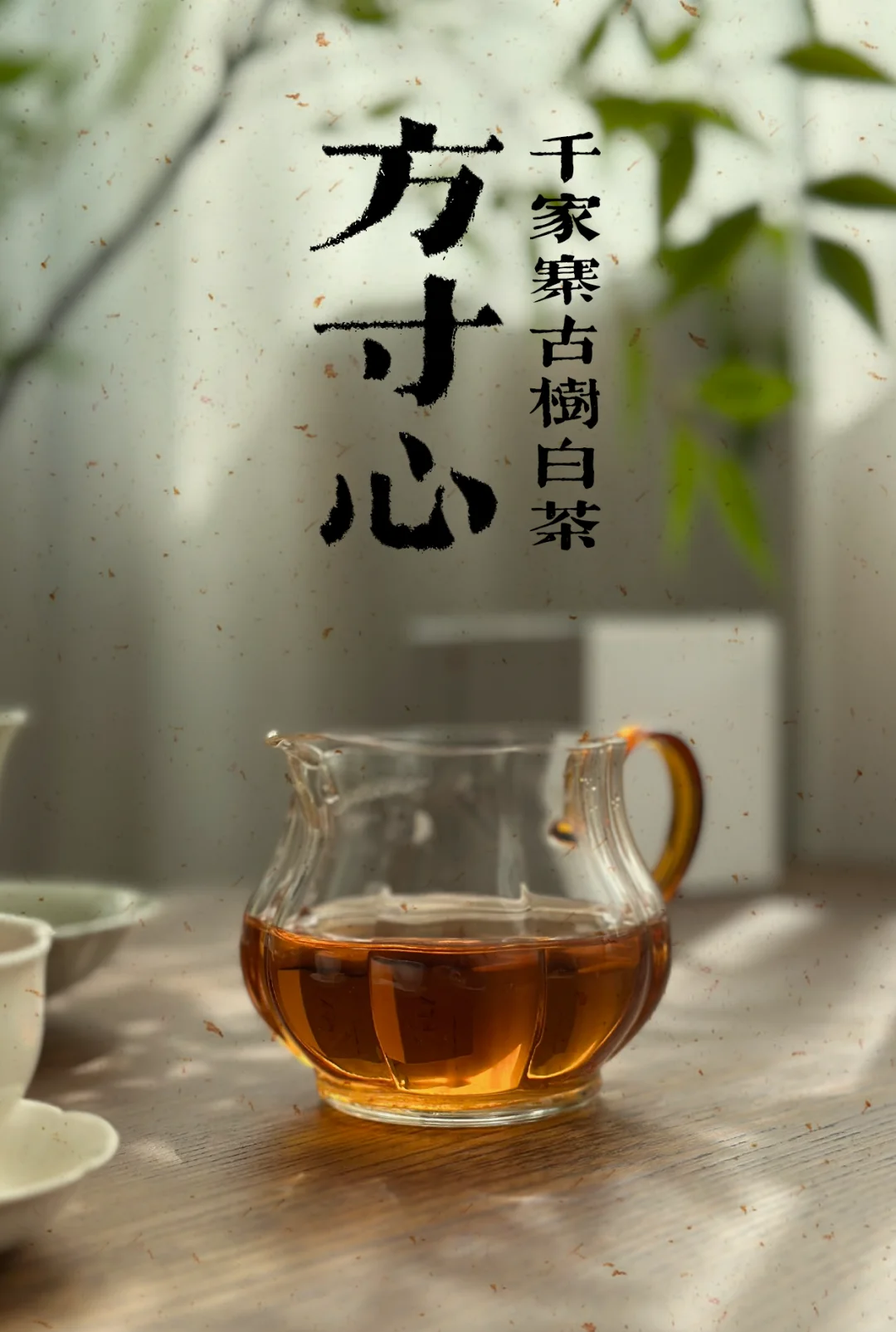 普洱白茶适合什么季节喝